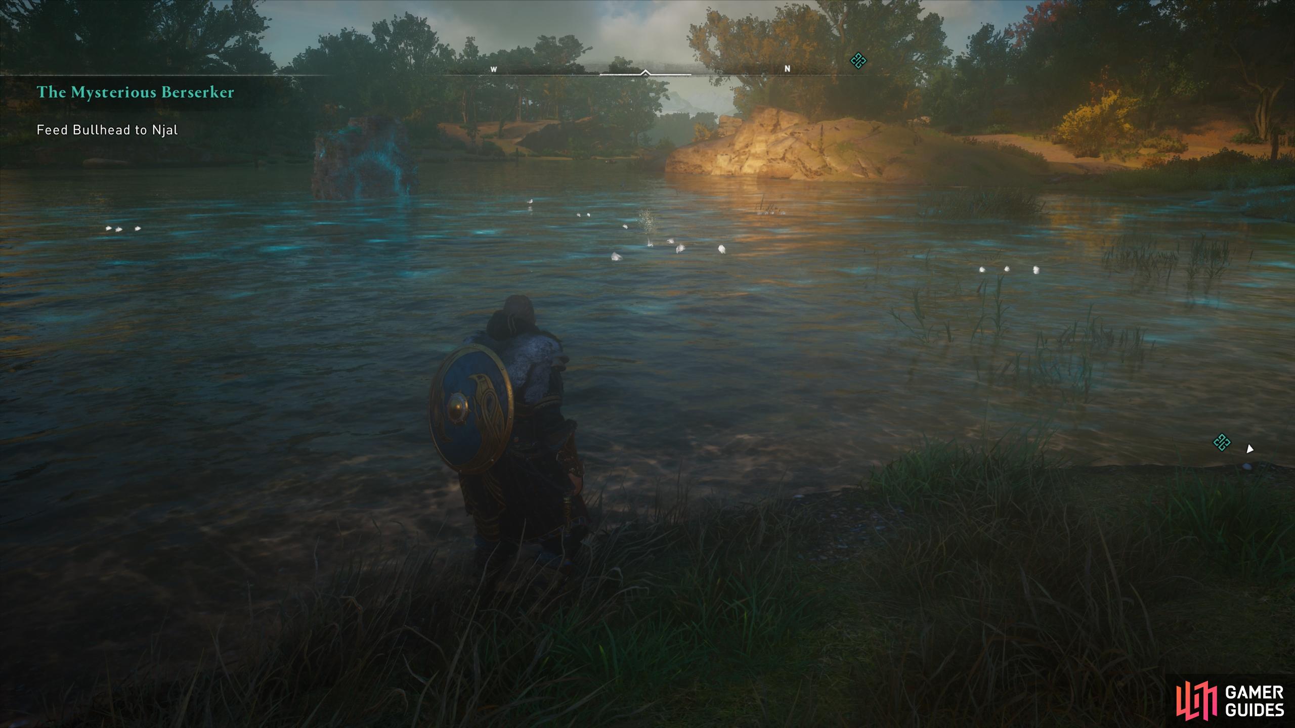 Use Odin's Sight to locate the position of the nearby fish.