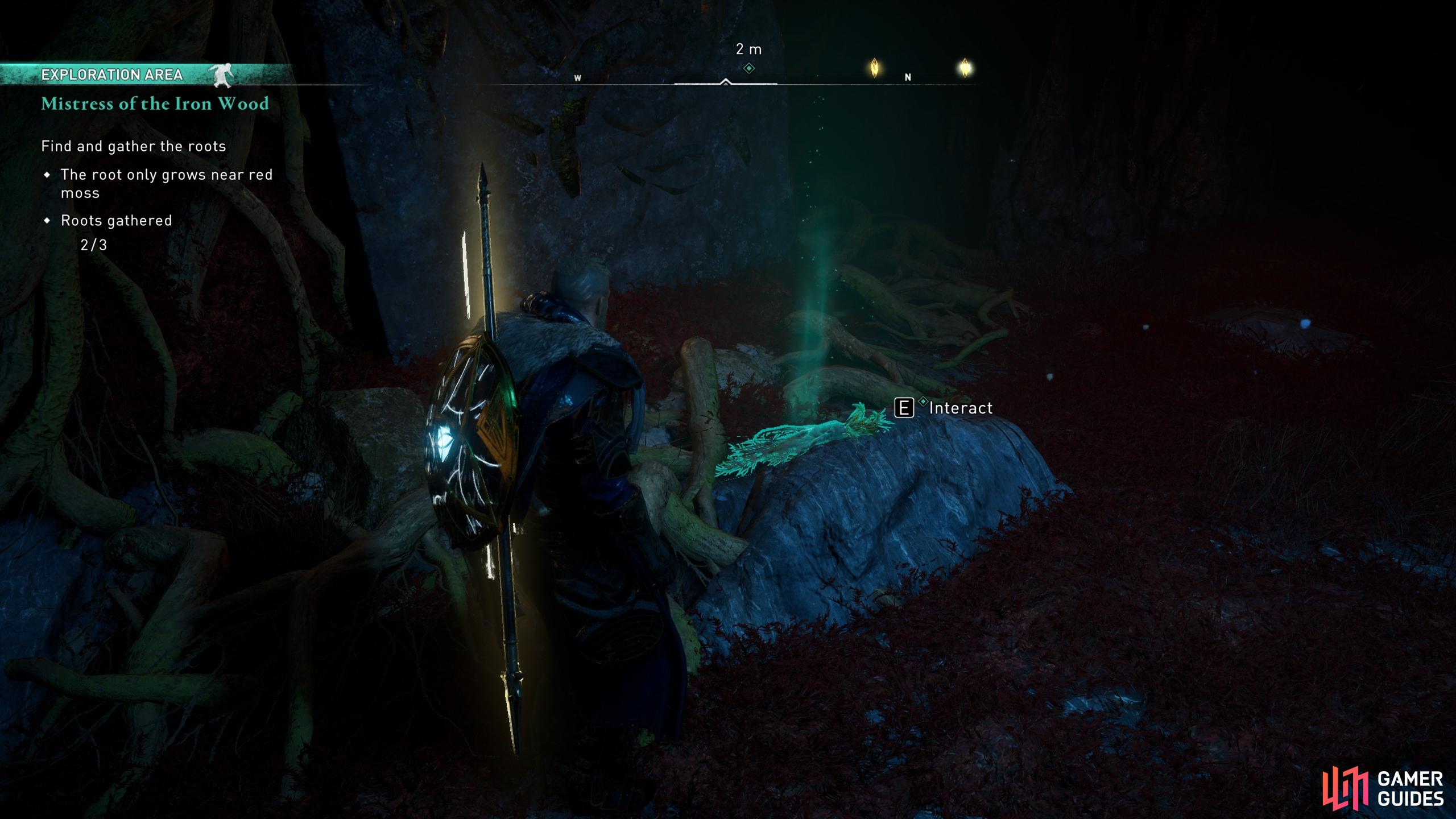 You can highlight the roots by using Odins Sight within the cave.