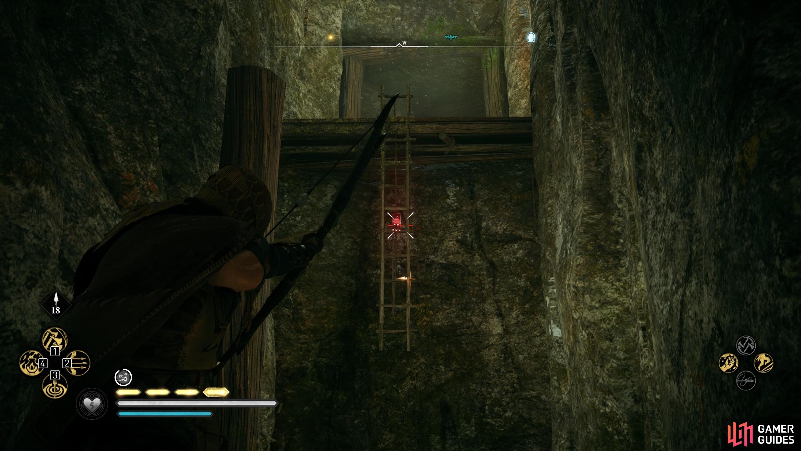 Shoot the link on the ladder to lower it.