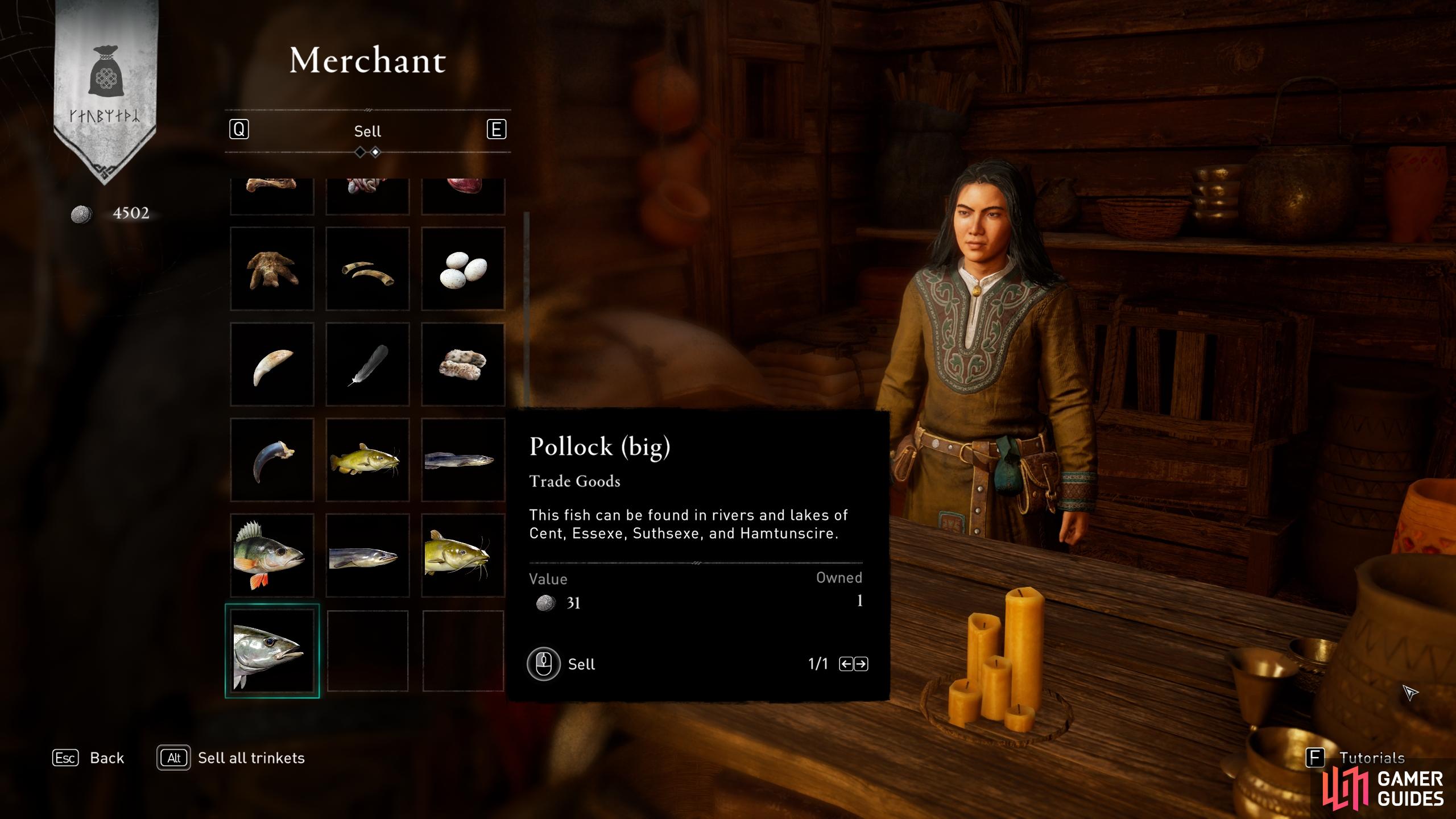 You can sell any fish at the trading post or other merchants for a decent price.