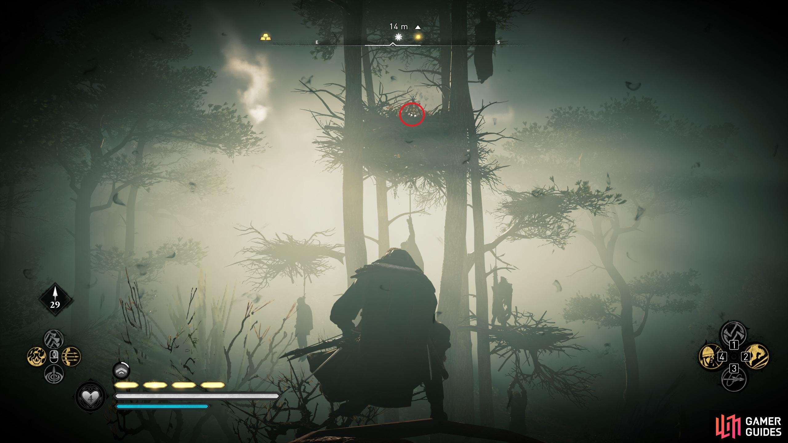 Once you've reached the vantage point, you'll be able to shoot the symbol from the branch.