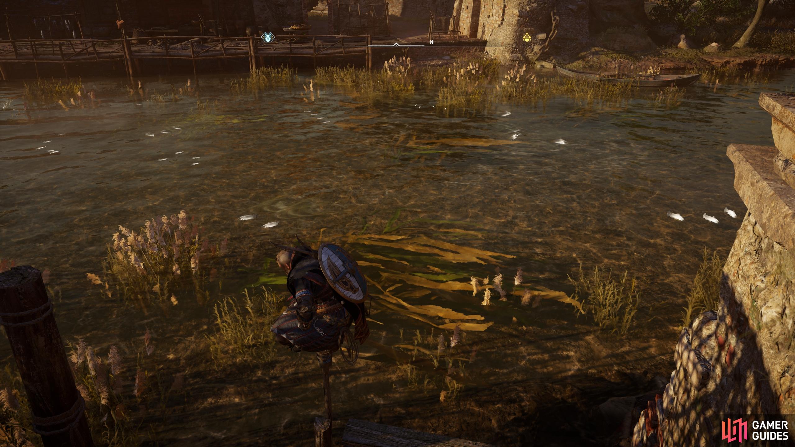 You'll find an abundance of fish along the Wensum River, which you can enter to kill quickly with melee weapons.