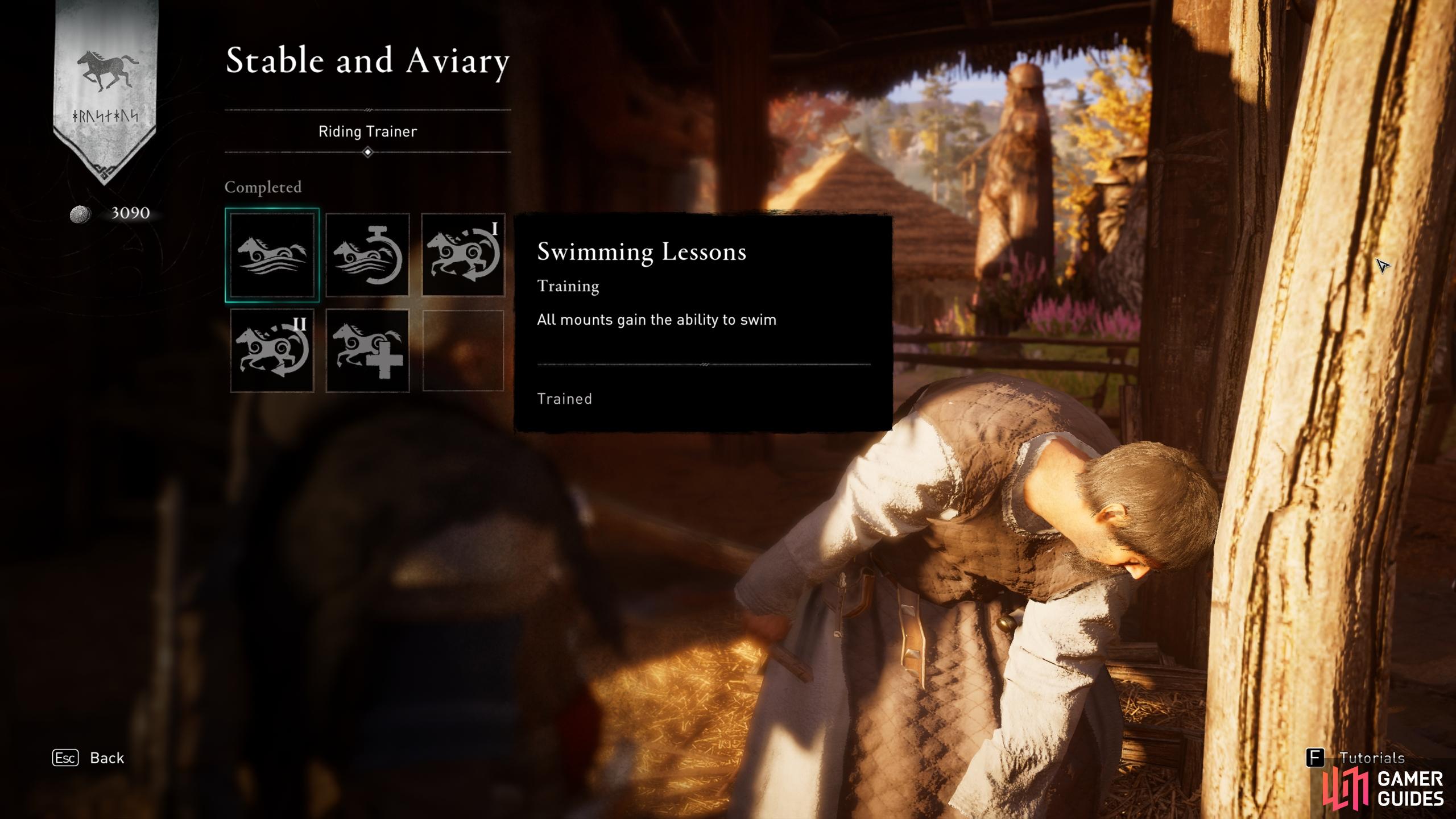 You can improve the attributes of your mount from the stable and aviary.