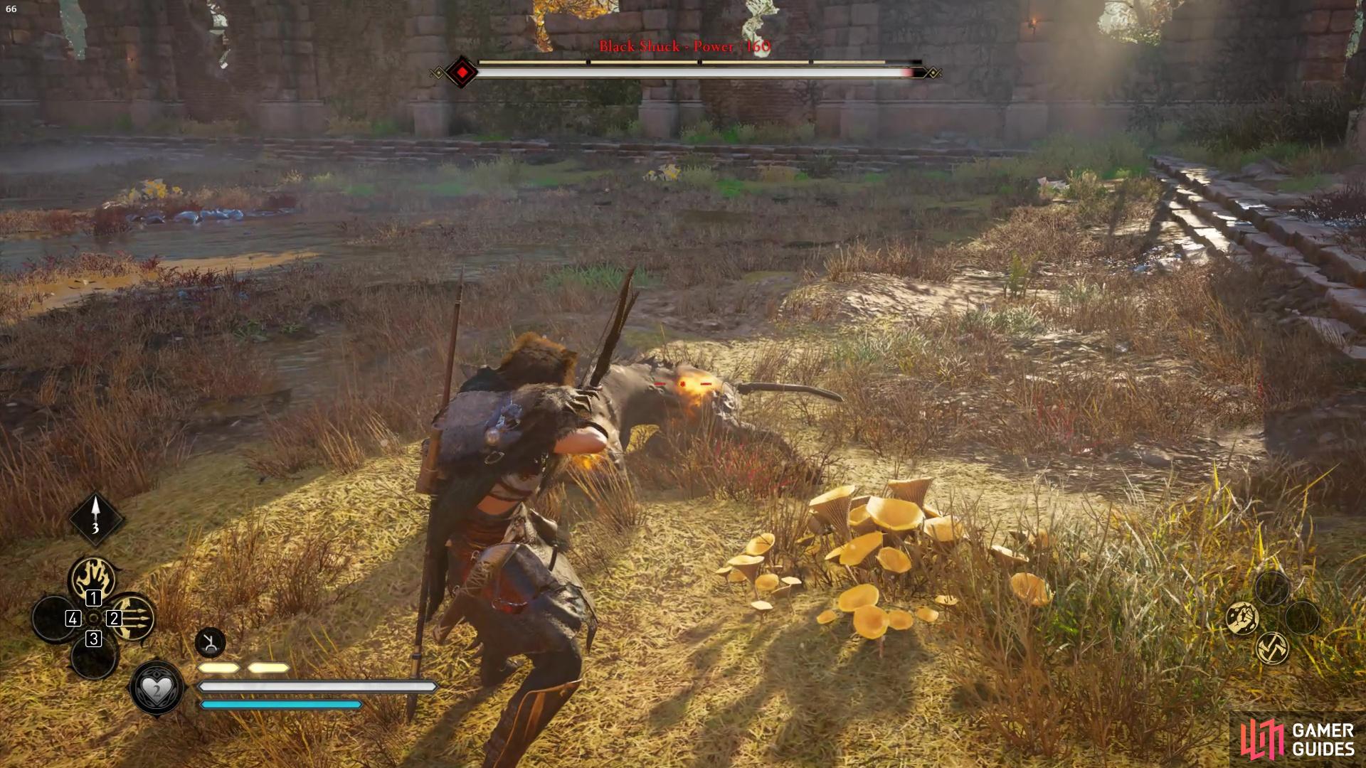 Shoot the Black Shucks weak points whilst its stunned to deplete its stamina bar