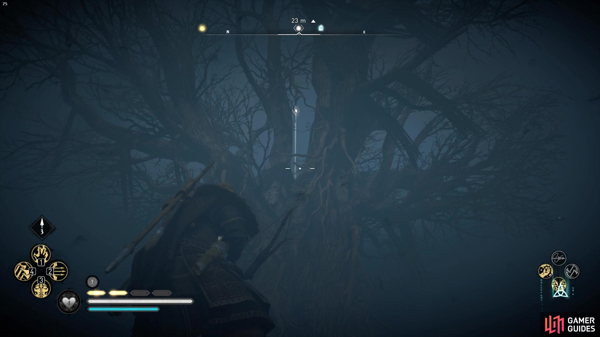 where youll need to shoot the cursed symbol in the tree.