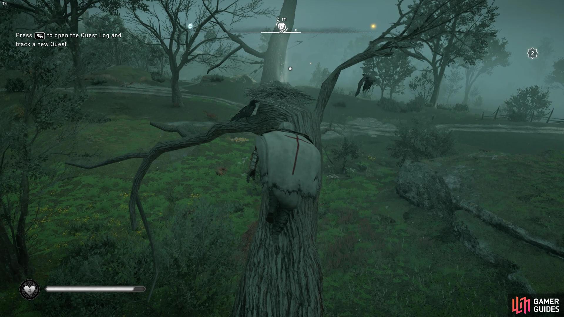 youll need to climb the tree and collect the artifact from a birds nest.