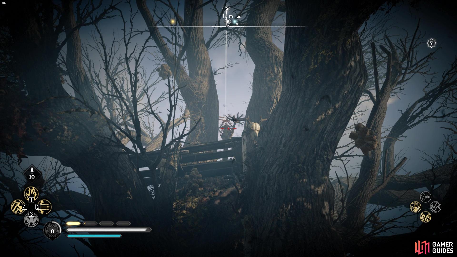 youll need to shoot up at the cursed symbol in the tree.