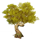 AmberKnotwoodTreeHousingFurnishingsGenshinImpact.png
