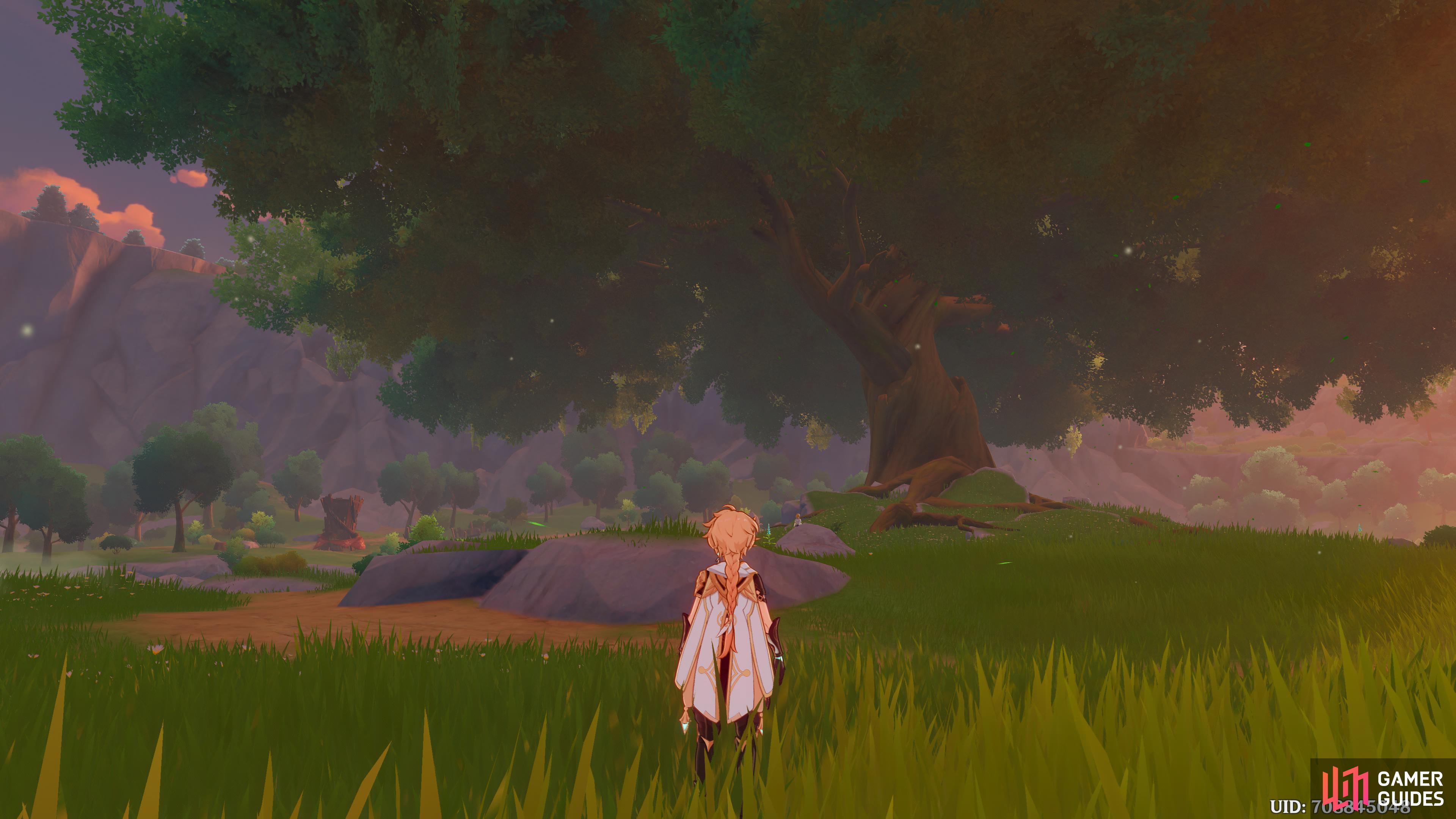 The Traveler heading back to the great tree in Windrise, searching for Venti.