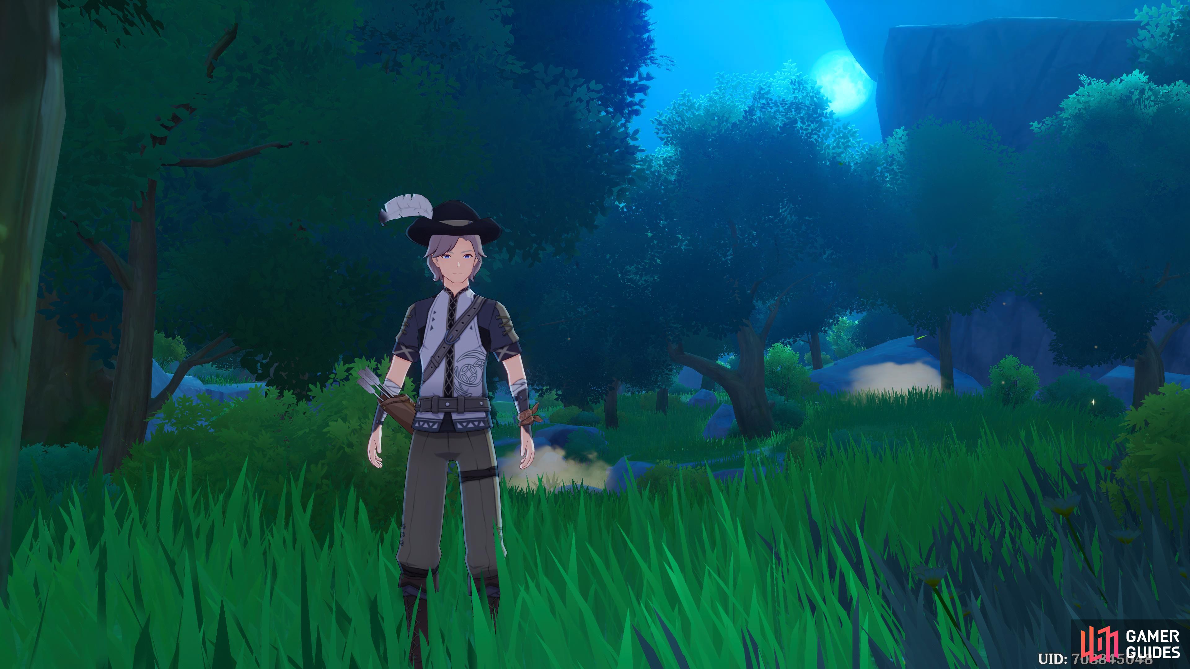 A stranger asking for Barbara's aid in the Whispering Woods.