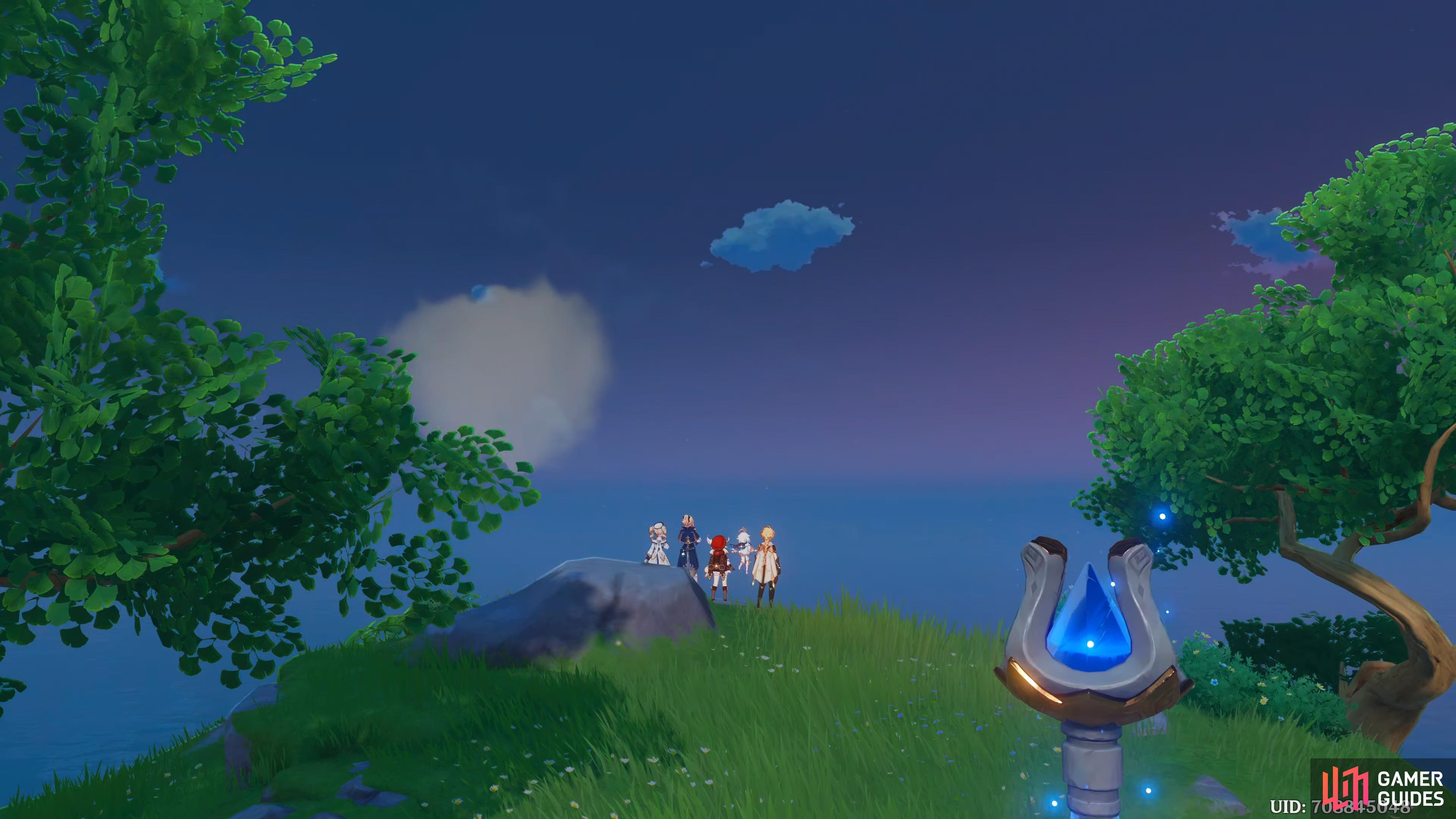 The Traveler and friends enjoying the view in the Golden Apple Archipelago.