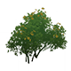 CrystalflysPerchHousingFurnishingsGenshinImpact.png