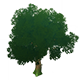 CuihuaSaplingHousingFurnishingsGenshinImpact.png