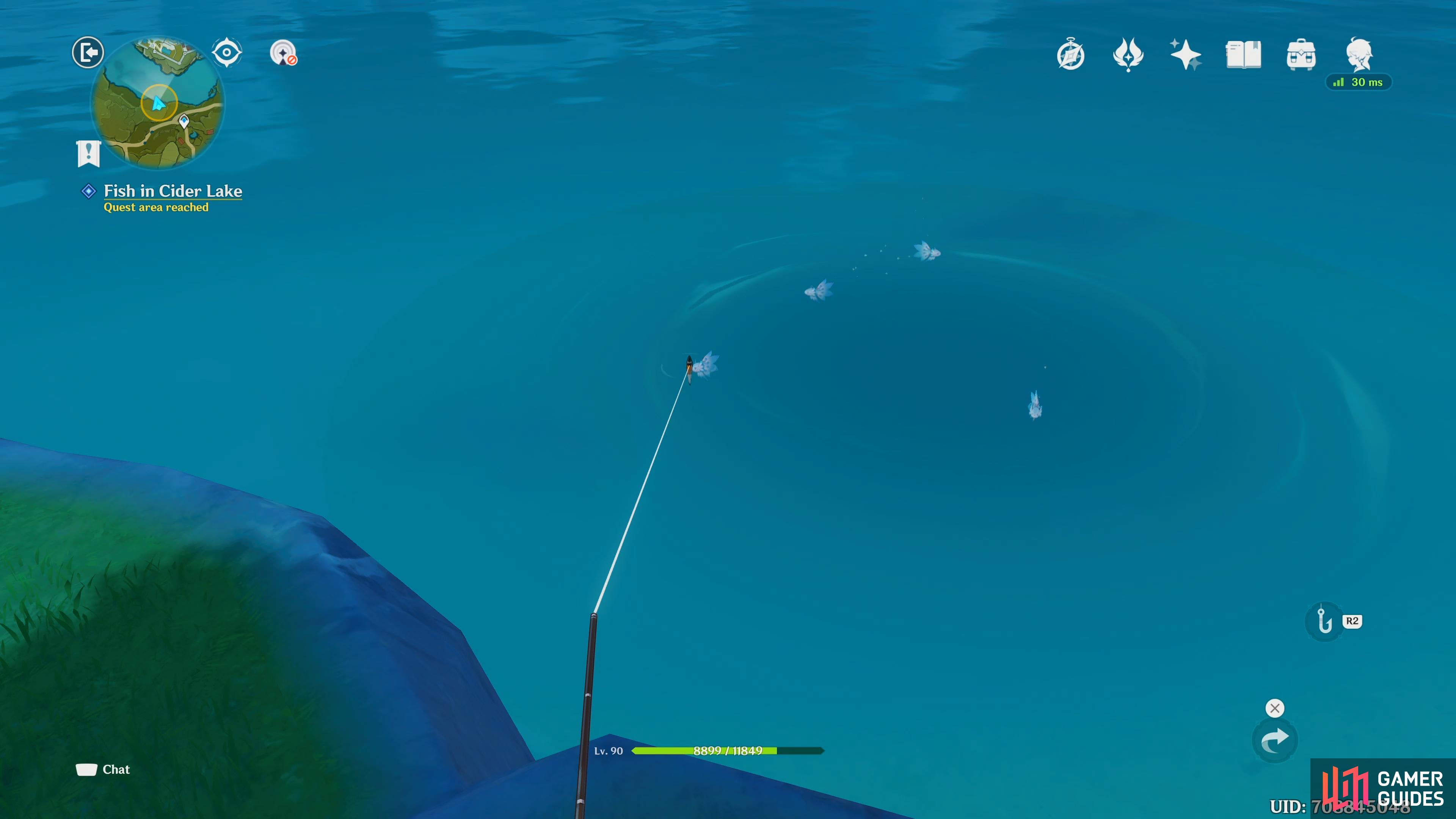 The fish will bite a few times before it is on the hook, be patient until you see the text appear.