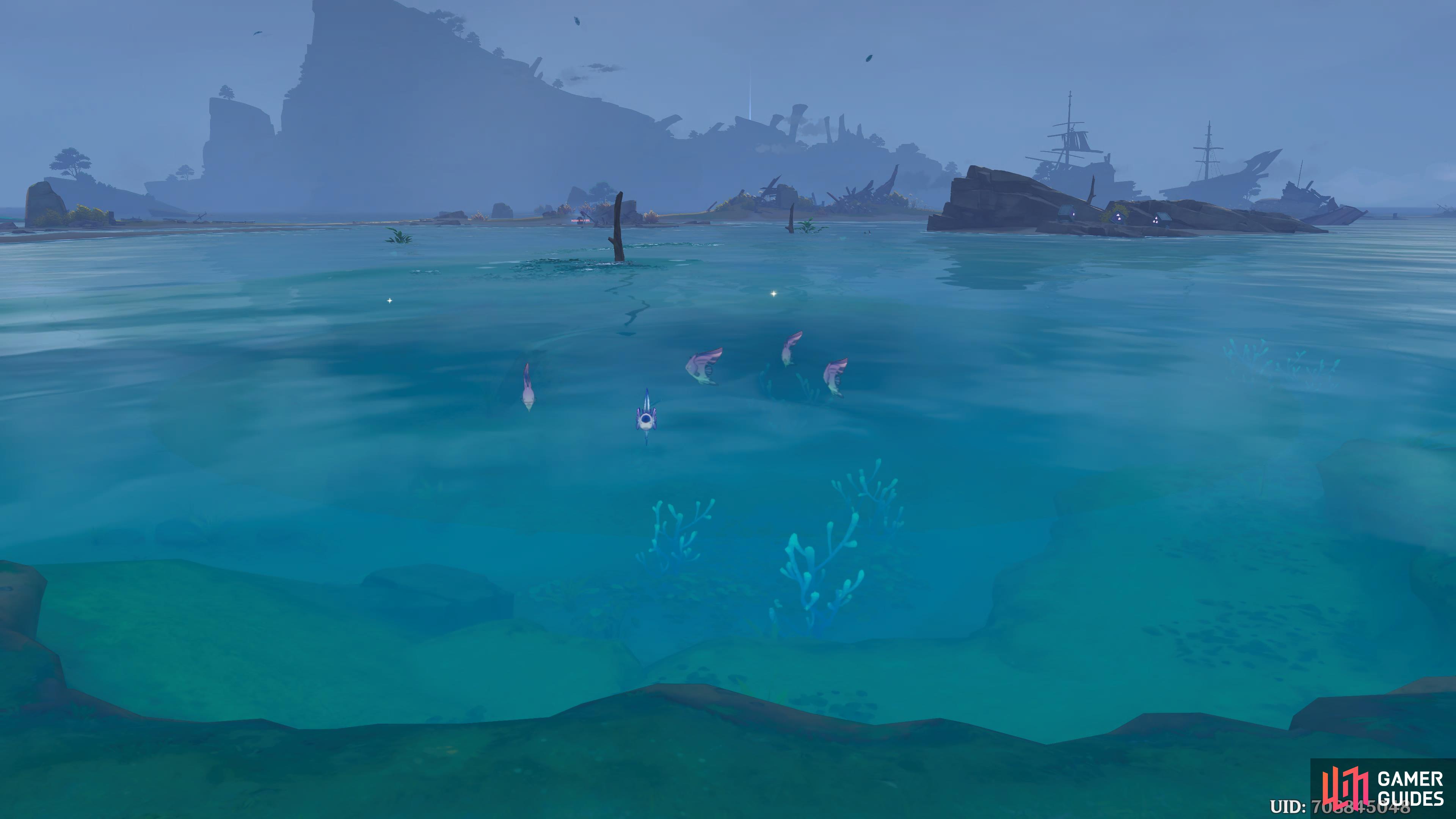 Here's a visual of the Day 7 Fishing Point.