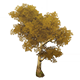 GoldenIrontrunkTreeHousingFurnishingsGenshinImpact.png