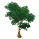 GreenIrontrunkTreeHousingFurnishingsGenshinImpact.png