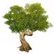 GreenKnotwoodTreeHousingFurnishingsGenshinImpact.png