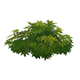 HazelWildvestHousingFurnishingsGenshinImpact.png