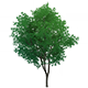 HuntersVantageHousingFurnishingsGenshinImpact.png