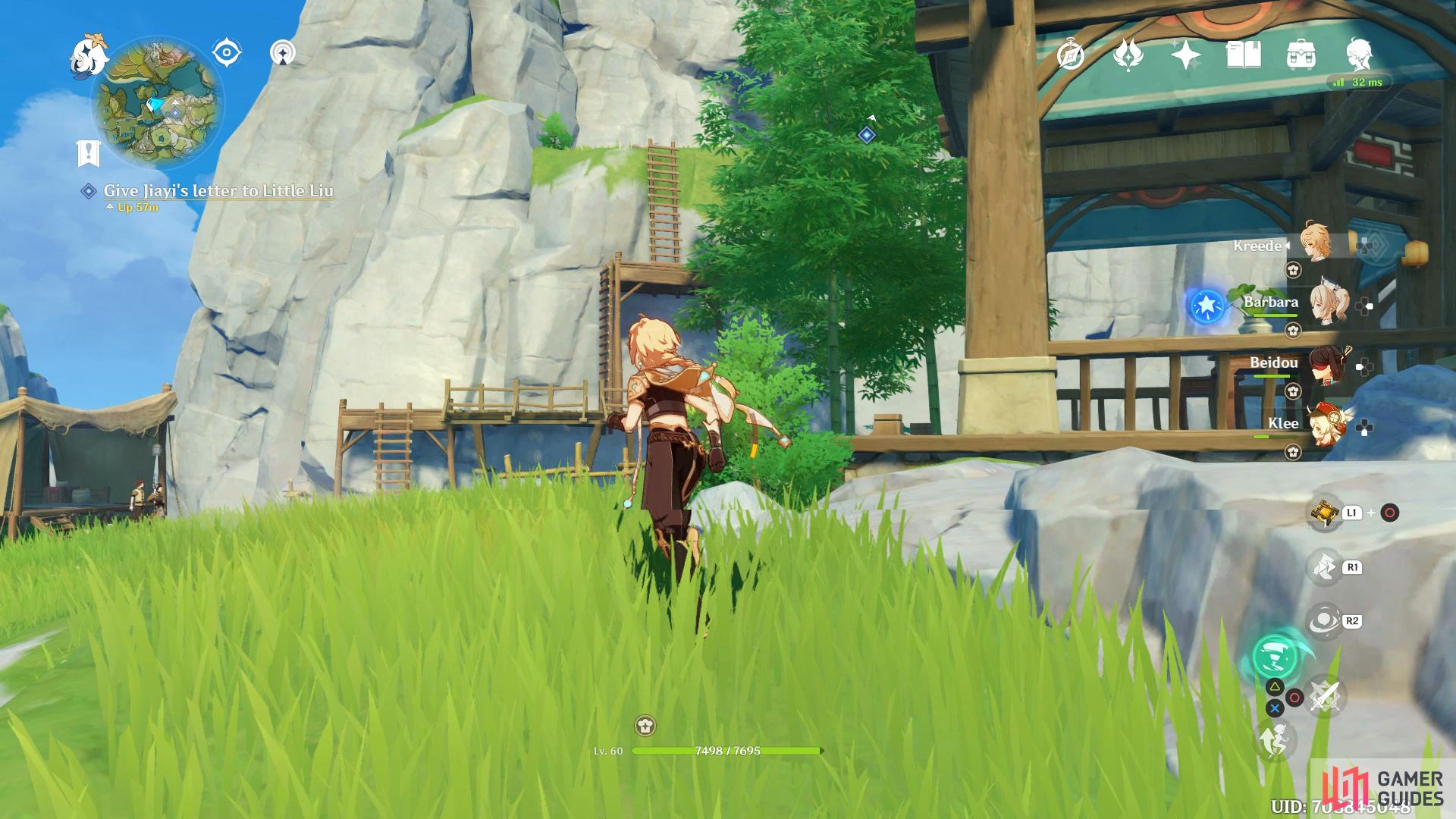 use the ladders at the back of the village to reach Little Liu