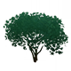 LusciousBloomHousingFurnishingsGenshinImpact.png