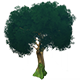 MatureCuihuaTreeHousingFurnishingsGenshinImpact.png