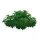 OvergrownWildvestHousingFurnishingsGenshinImpact.png