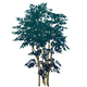 ProfuseAwlkingHousingFurnishingsGenshinImpact.png