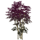 ProfuseLacquerleafHousingFurnishingsGenshinImpact.png