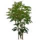 ProfuseSmokeleafHousingFurnishingsGenshinImpact.png