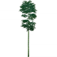 QingceJadestoneBambooHousingFurnishingsGenshinImpact.png