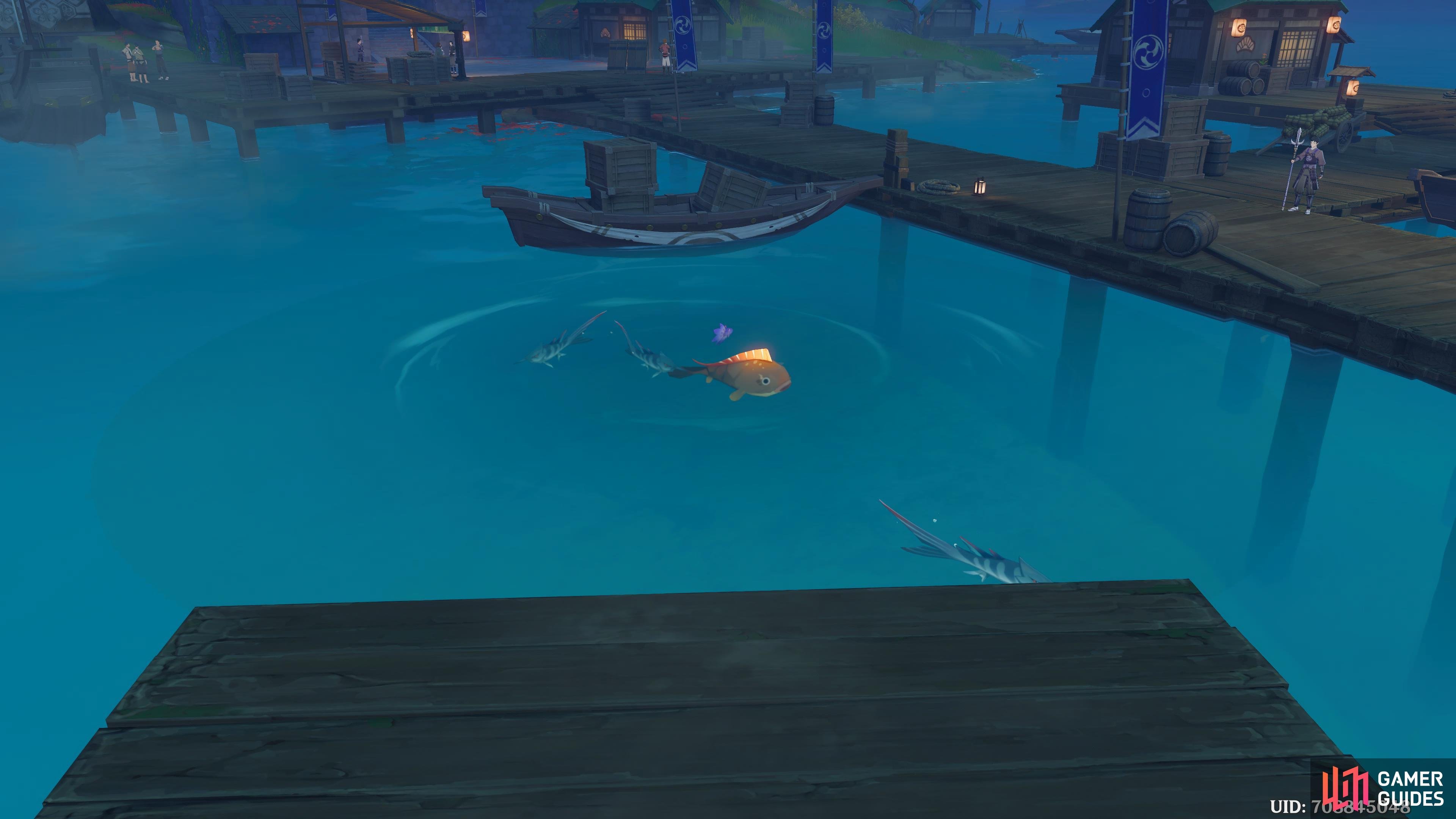 Here's a visual of the Ritou Docks Fishing Point.