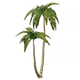 SilversandCoconutTreeHousingFurnishingsGenshinImpact.png