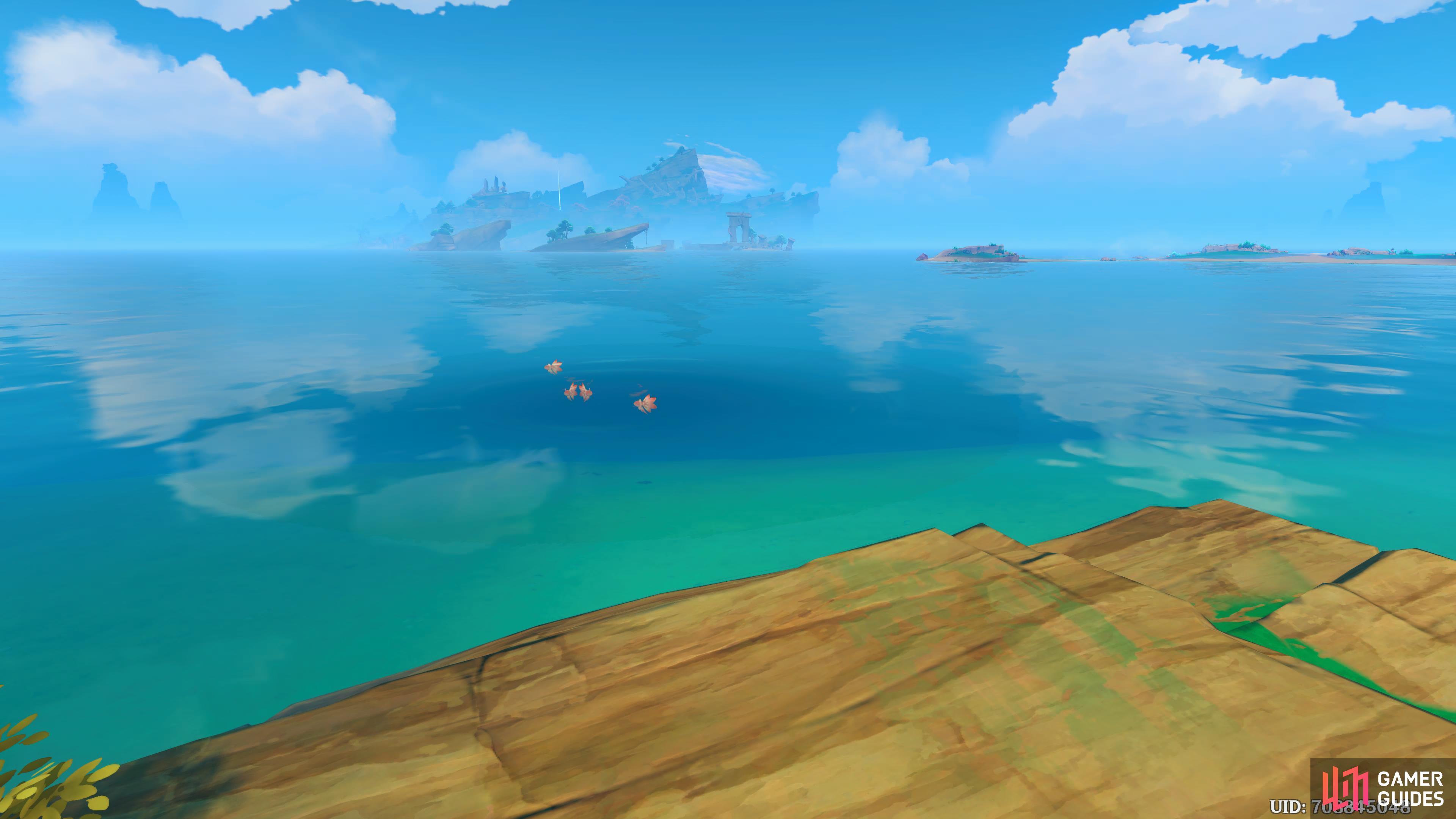 Here's a visual of the Suigetsu Pool Fishing Point.