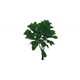 VerdurousWaiterHousingFurnishingsGenshinImpact.png