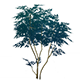 VivaciousAwlkingFurnishingsGenshinImpact.png
