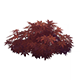 WineRedWildvestHousingFurnishingsGenshinImpact.png