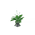 FloralGreensShallowSlumber.png