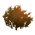 ItemLikeanOmenofDaybreak.png