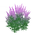 ItemProlongationMedium.png