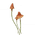 ItemScarletSwayshroom.png