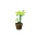 ItemUpliftingGrowth.png