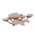 LiketheMoonsShatteredShards.png