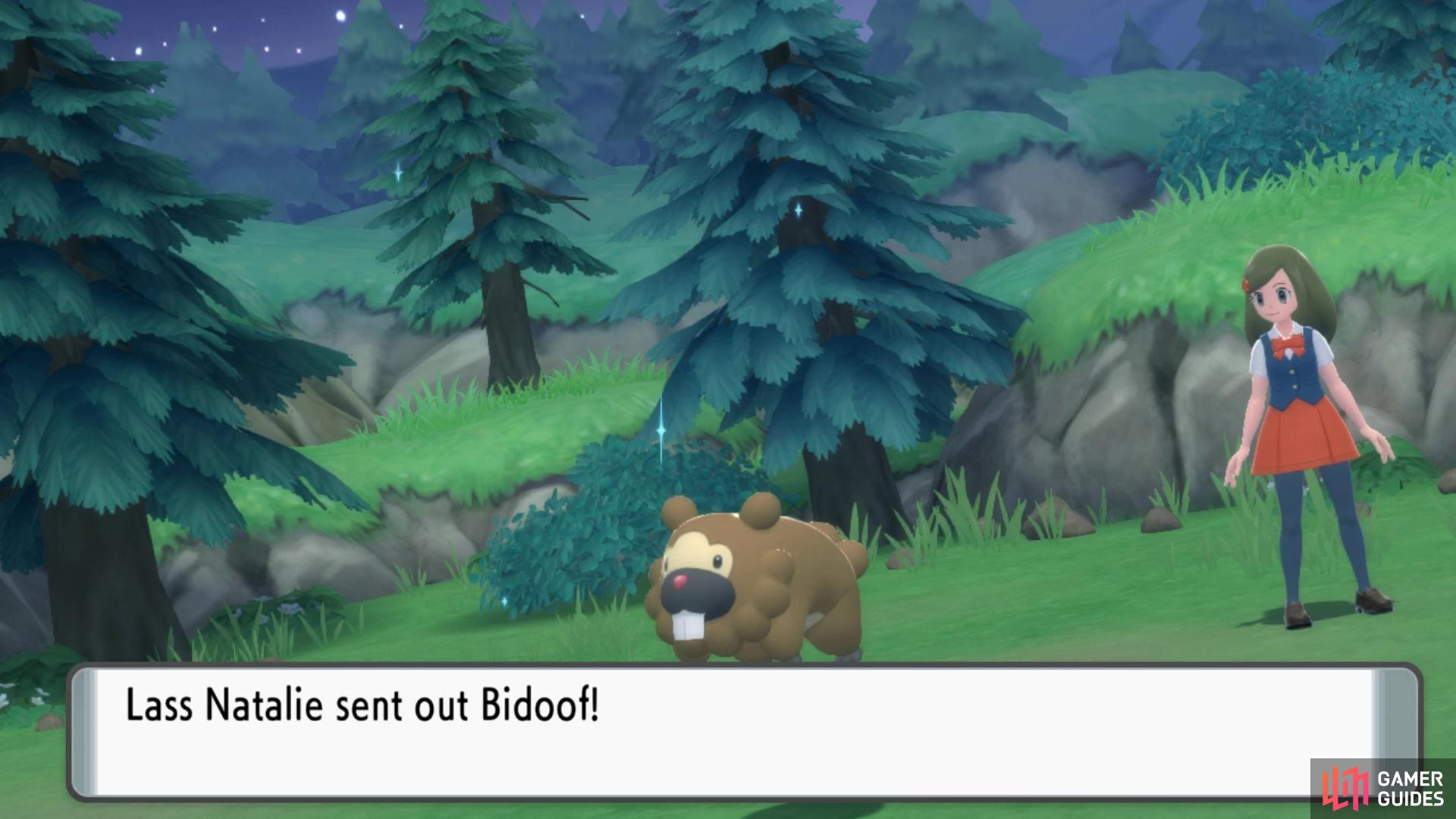 Lass Natalie sends out two separate Bidoof!