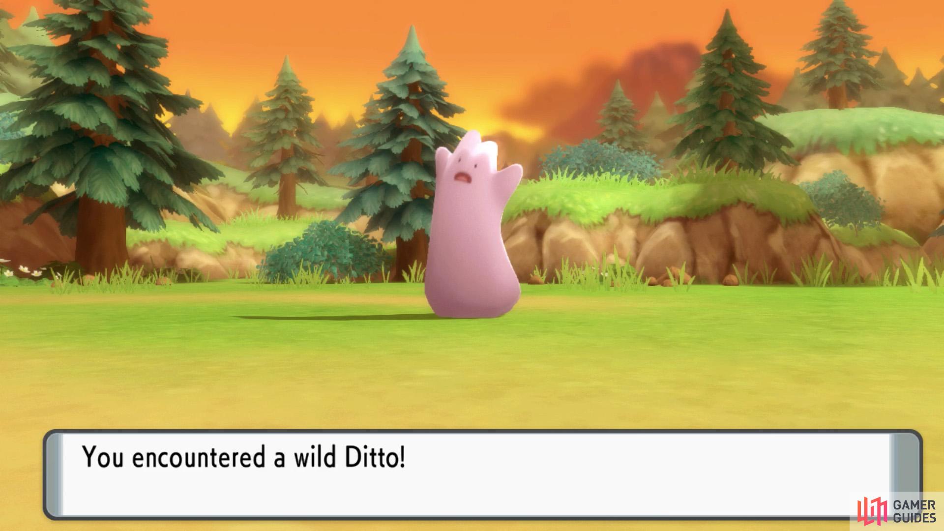 Where to Catch Ditto with BEST IVs ▻ Pokemon Brilliant Diamond