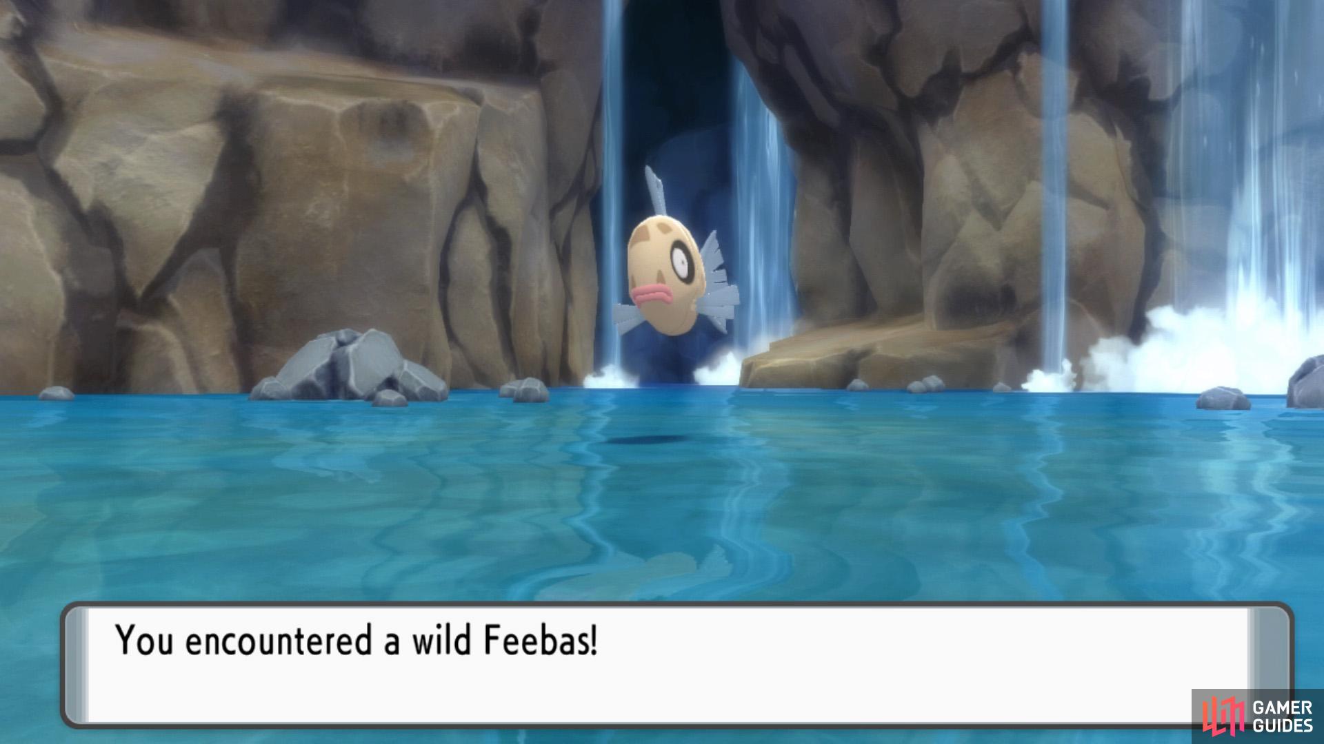 There we go! Feebas found!
