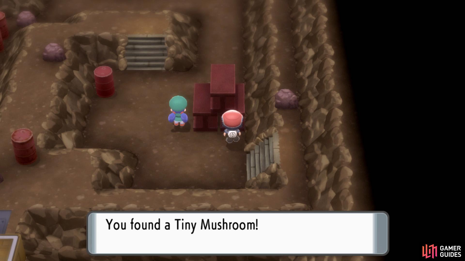 Hidden Tiny Mushroom.