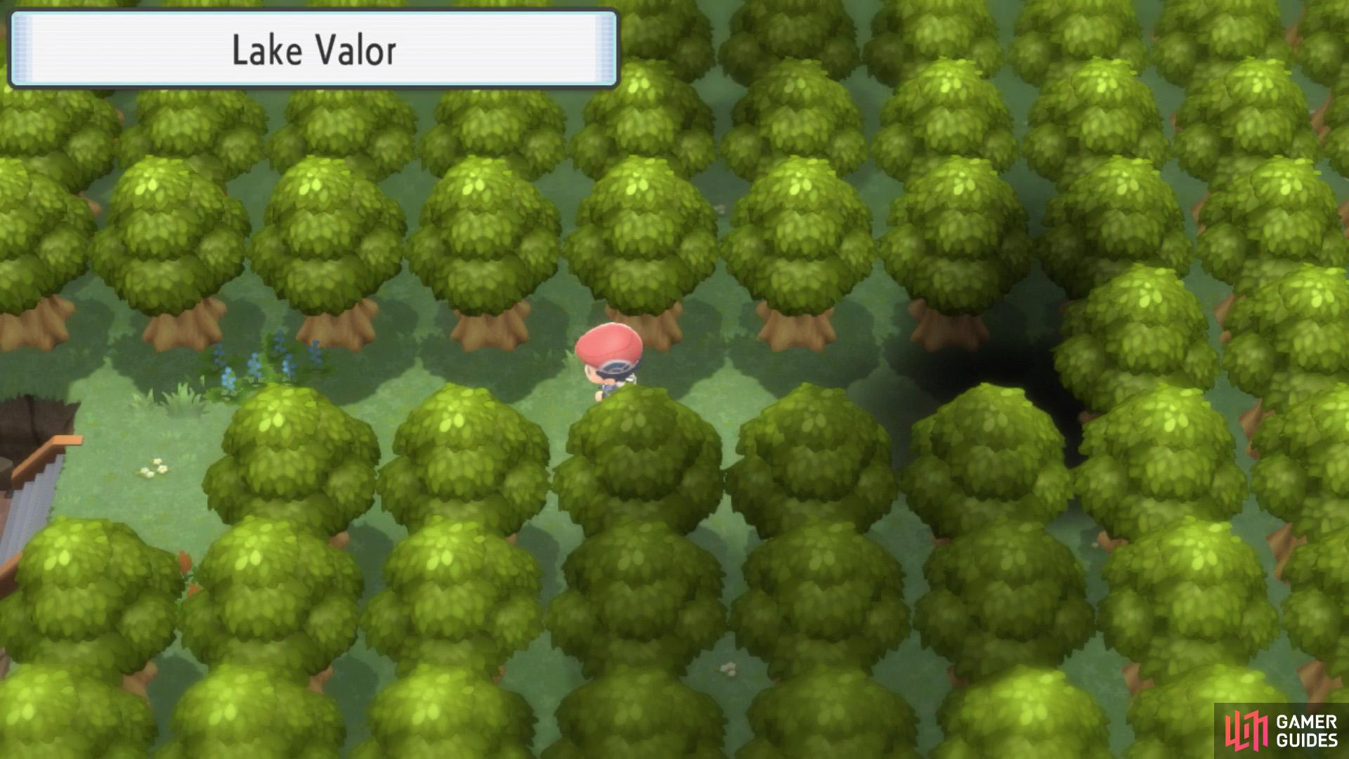 Valor Lakefront (Encounters & Items) - Fen Badge - Walkthrough, Pokémon:  Brilliant Diamond & Shining Pearl