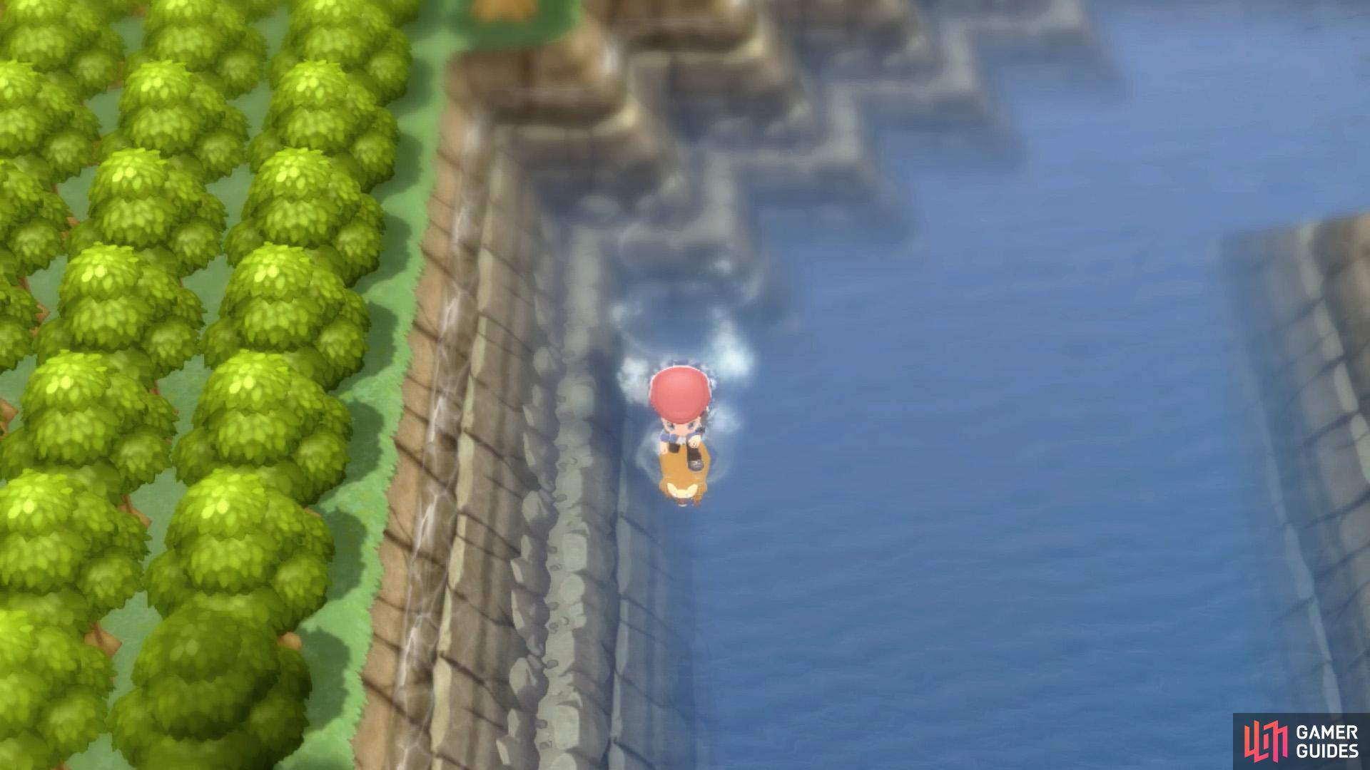 Valor Lakefront (Encounters & Items) - Fen Badge - Walkthrough, Pokémon:  Brilliant Diamond & Shining Pearl